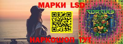 хмурый Камышлов
